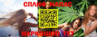 Альфа ПВП Кингисепп