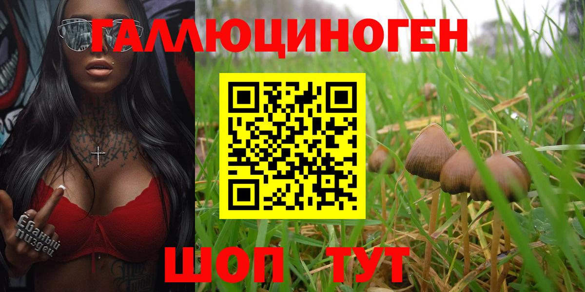 Псилоцибиновые грибы GOLDEN TEACHER  Вход с VPN  Конаково  Галлюциногенные грибы Cubensis 